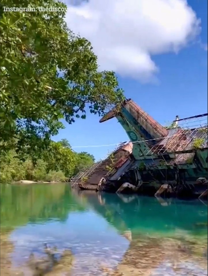 The boat sits only metres from the forested shoreline of a tropical island