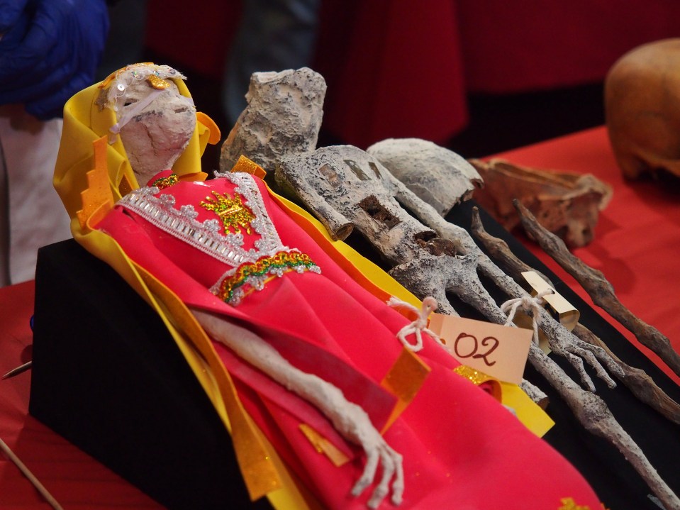 The "alien" corpses were seized by customs officers in Peru last October