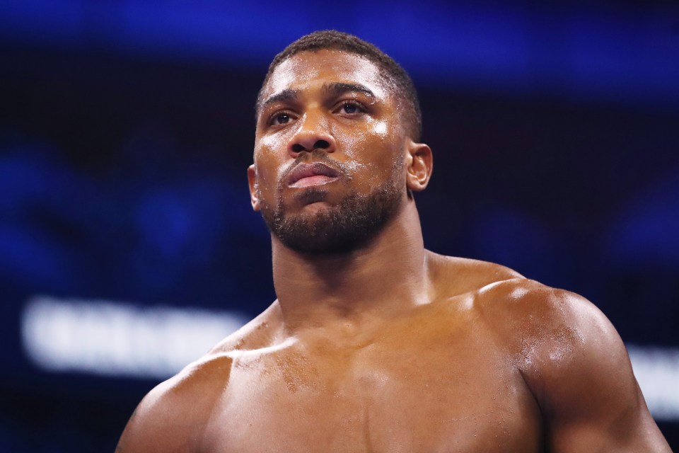 The boxer's fortune is expected to soar even further afte he fights UFC champ Francis Ngannou  in March.