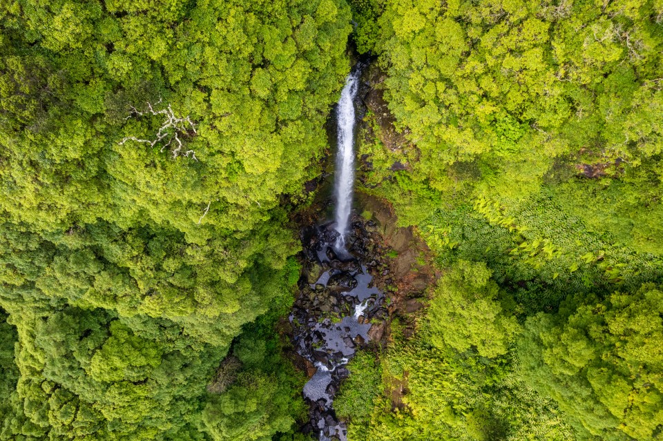 The natural pools and waterfalls are among the top reasons to visit the island