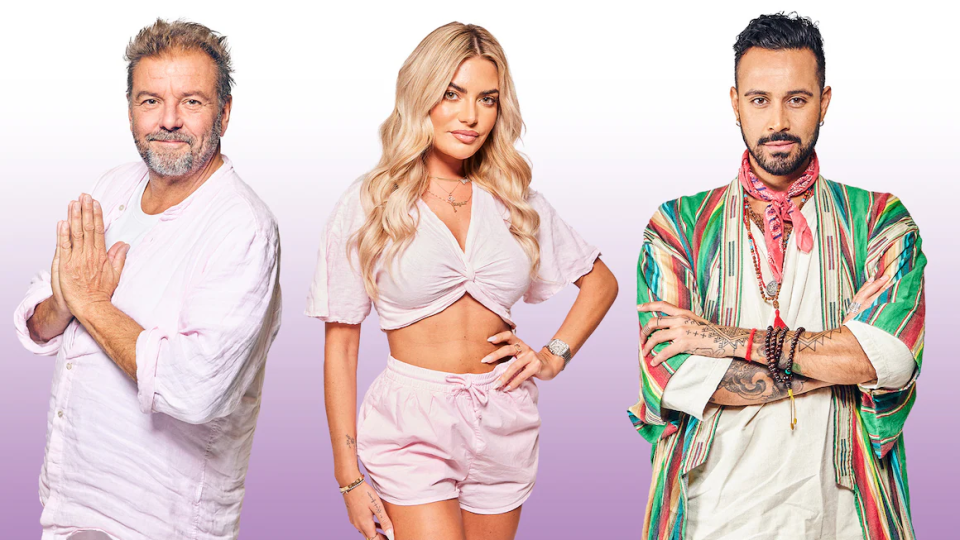 The broadcaster has decided not to renew The Big Celebrity Detox following its first outing last year on sister station E4