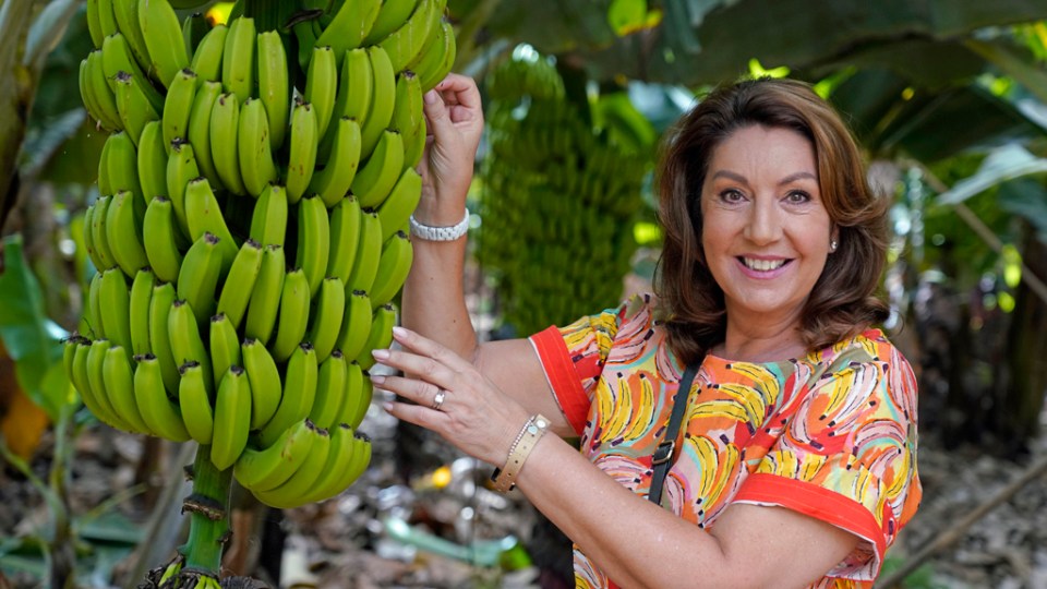 Jane McDonald is heading to Tenerife and taking fans with her