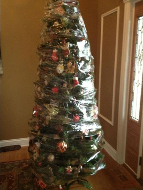 Taking down your Christmas tree today? My hack means you can do it in seconds and it will cost you pennies</p>
<p>//www.reddit.com/r/pics/comments/16jr6w/screw_it_this_is_how_were_taking_down_our_fake/