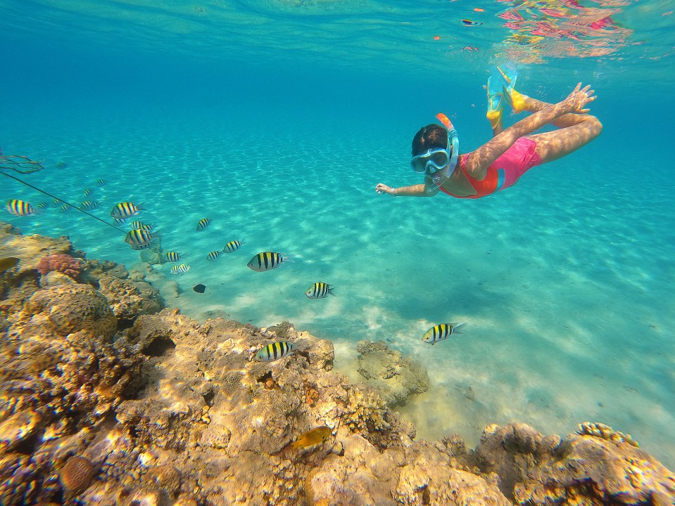 Snorkelling is included in the cost of a day trip to the island