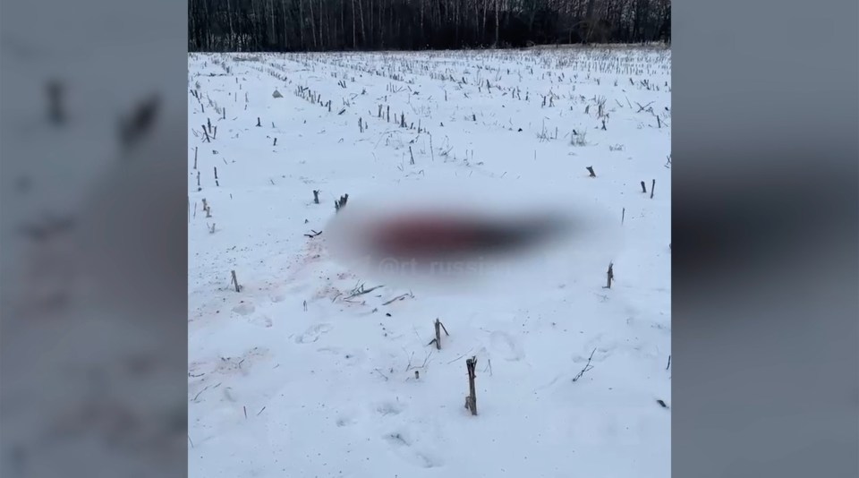 Footage showed what appears to be the bloody remains of one body