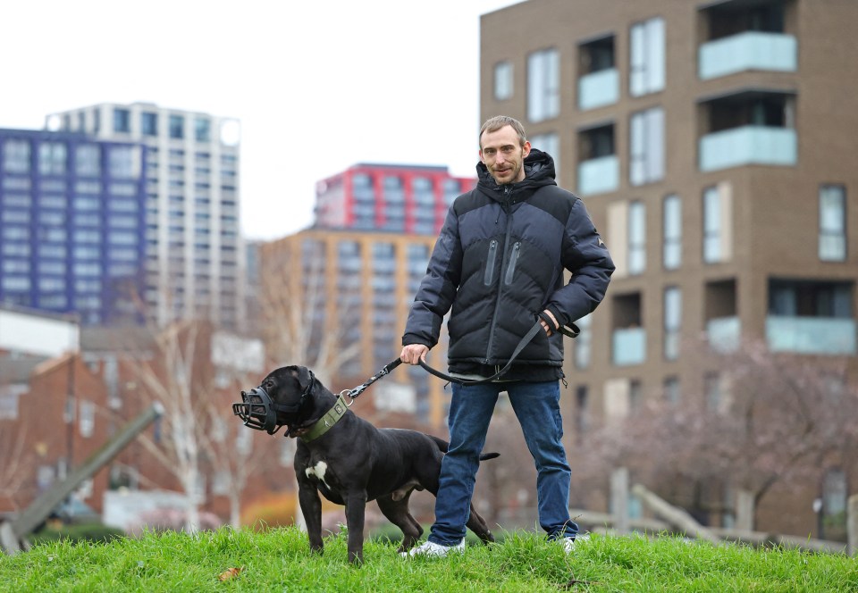 Dog owner Terry Wigzell takes his muzzled XL Bully 'Duke' for a walk