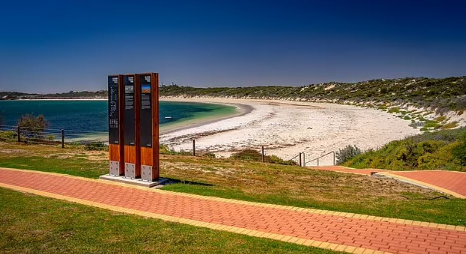 Murray was attacked off the shore at Elliston in South Australia