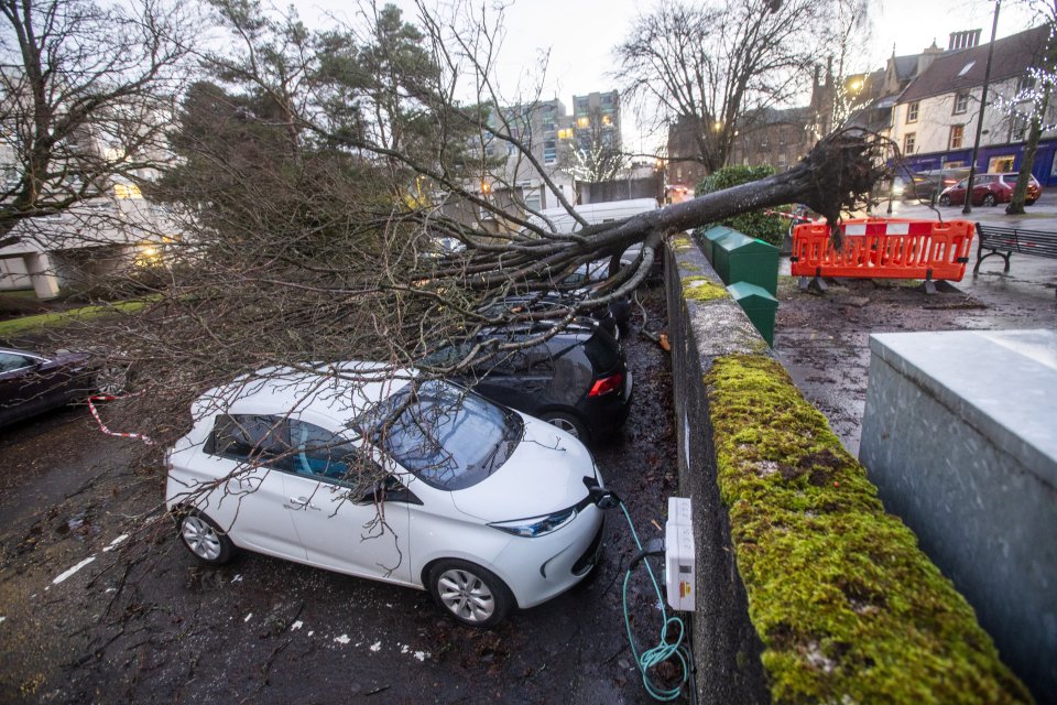 A fallen tree on four cars in Linlithgow during Storm Isha this morning