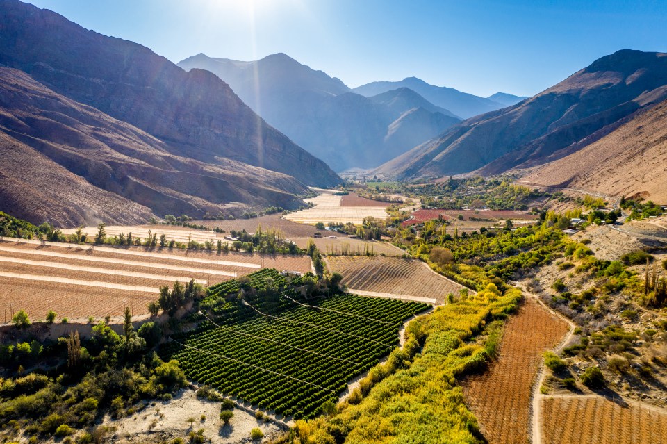 Chile has a wealth of crops and natural resources