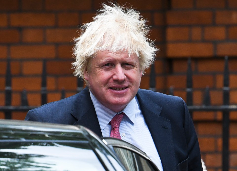 Much like ex-PM Boris Johnson who is famous for his unruly mane