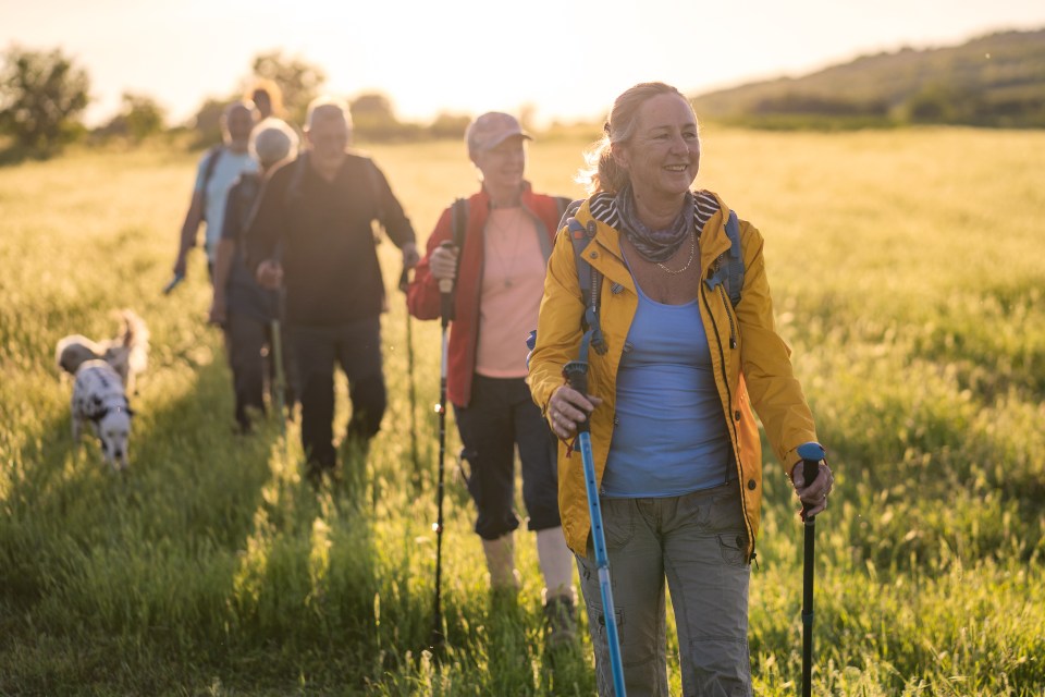 Nordic walking could slow the progression of Alzheimer’s disease, a study shows