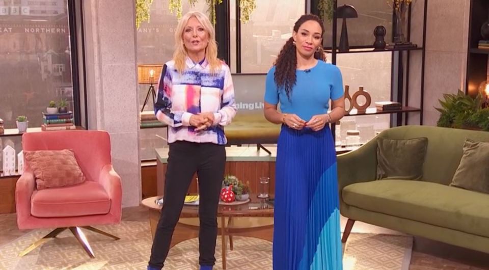 BBC Morning Live fans are fuming after Gaby Roslin and Michelle Ackerley welcomed a guest who demonstrated how to use a dishwasher correctly