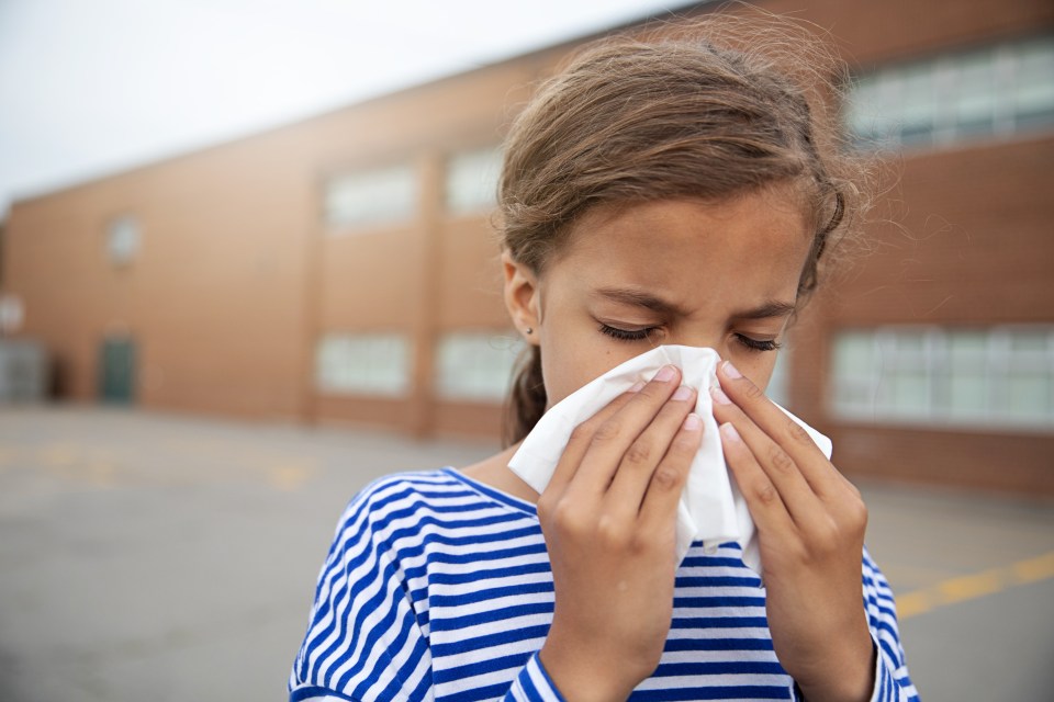 Coughing and stomach bugs are rife at schools in the winter, top doctors warn