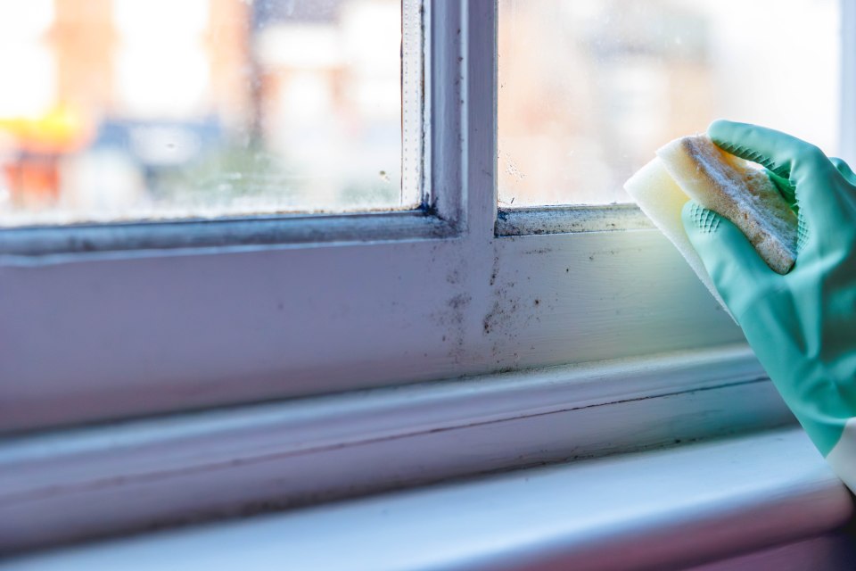 Mould can often build up around windows