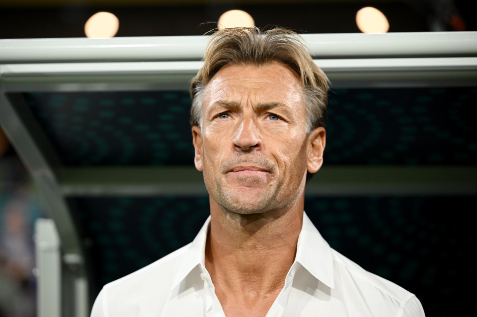 Herve Renard won Afcon with the Ivory Coast in 2015