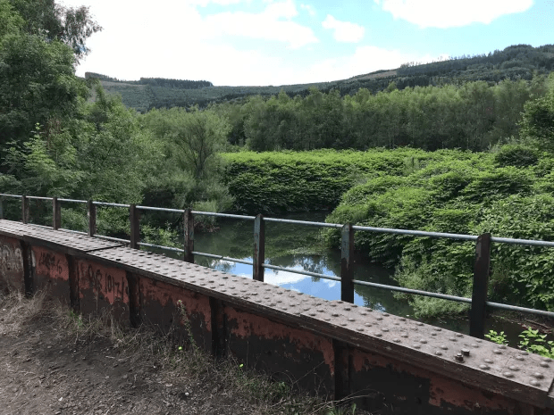 He was part of a group jumping into the water in Rhondda Cynon Taf