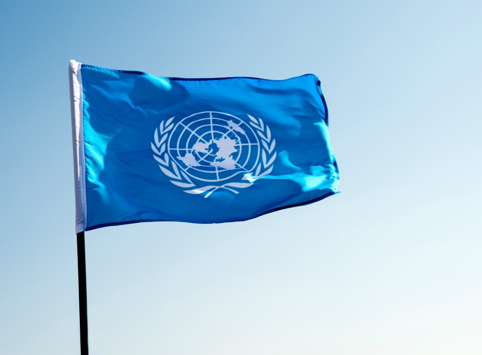 The UN is a broken organisation