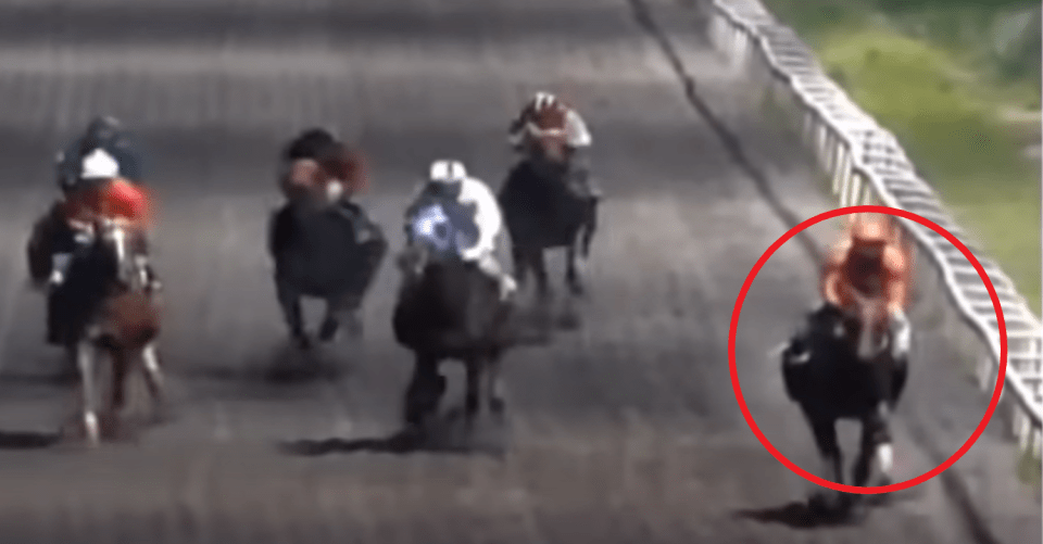 The jockey lost his action on the frontrunner and was trampled after being unseated