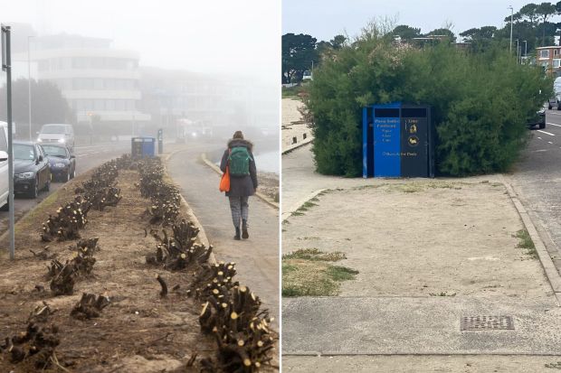 Sandbanks residents say the hedges have been cut back excessively by council