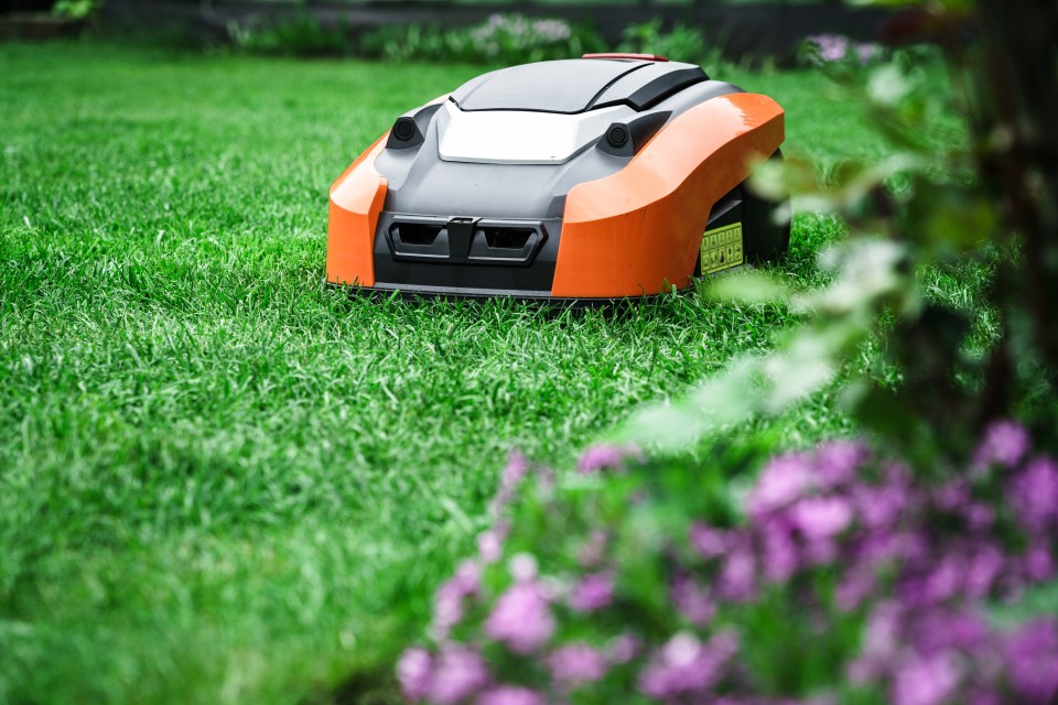 Robot Mowers use AI to find the best way around your garden to mow