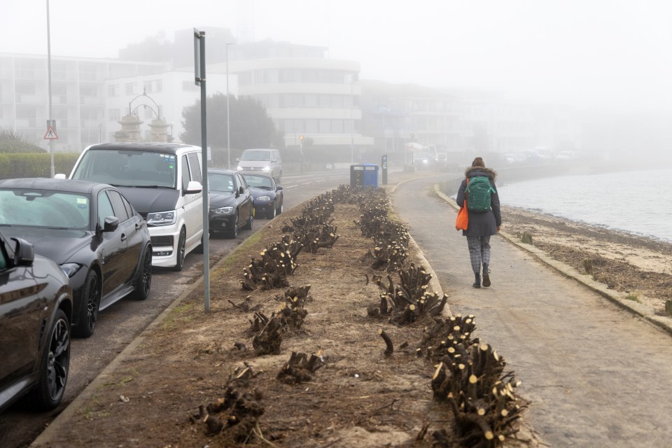 Sandbanks residents say the hedges have not just been cut back but 'slashed down'