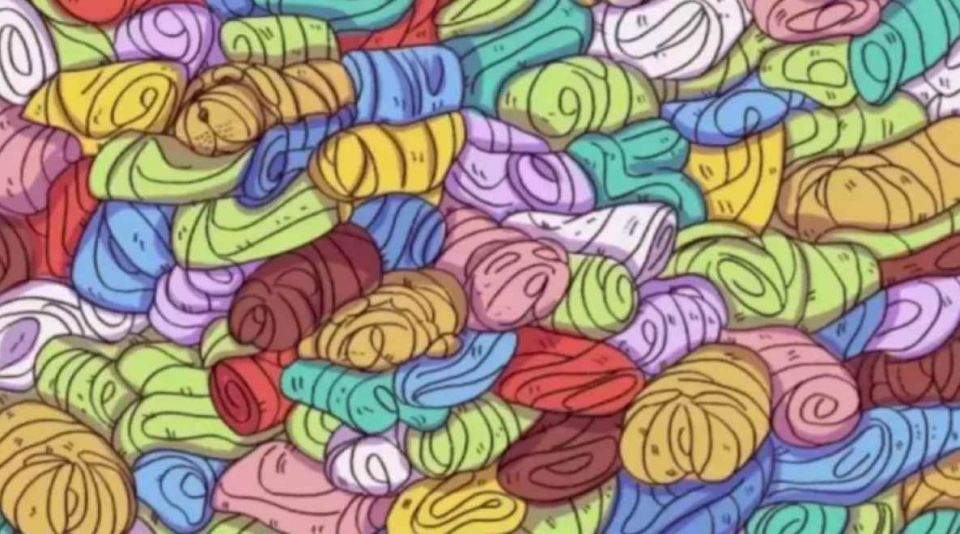 Can you spot the dog hidden in this pile of colourful towels?