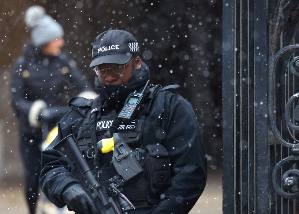 A policeman braves the snowy conditions on January 8 while on duty in London