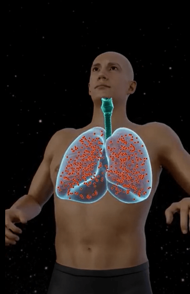 The simulation shows how lungs would rupture because of expanding gases in the human body