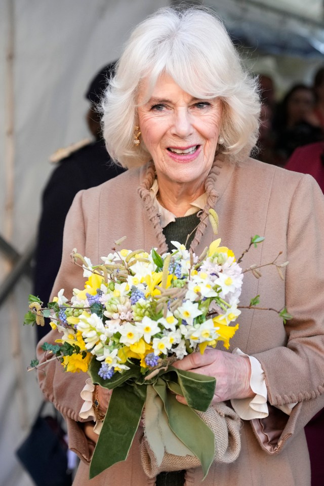 The Queen marked the 50th anniversary of the Swindon Domestic Abuse Support Service (SDASS), at charity refuge