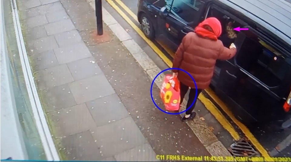 The couple were captured on CCTV arriving in London