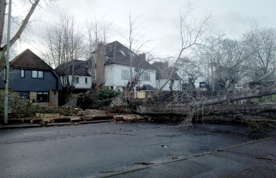 A fallen tree blocks the road in Bromley, south-east London