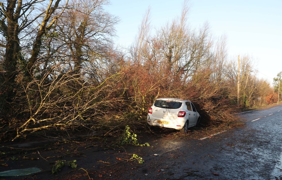 Press Eye - Belfast - Northern Ireland - 22nd January 2024 Picture by Jonathan Porter / PressEye Moneyreagh Road, Moneyreagh. Storm Isha, Electricity outages, blocked roads and school closures as disruption caused across NI. About 40,000 across Northern Ireland remain without power on Monday morning as the impact of Storm Isha continues to be felt.