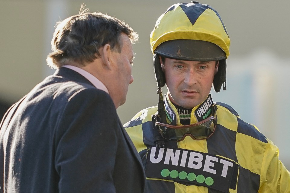 Nicky Henderson and Nico de Boinville had constructive criticism for Windsor chiefs