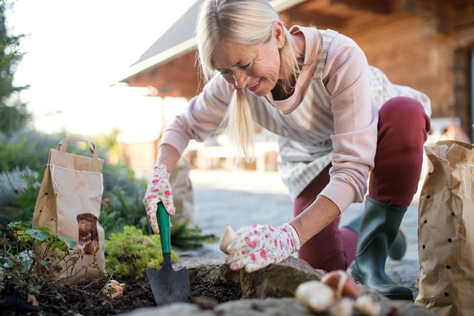 Exercising and having active leisure activities could lower the risk of developing dementia