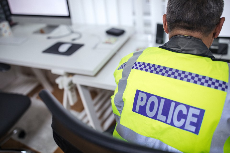 Seven people employed to teach police officers a new IT system were found to be ex-cops who left or were sacked