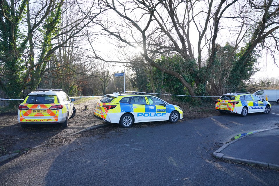 Police had previously cordoned off the area at Hanworth Park in Feltham