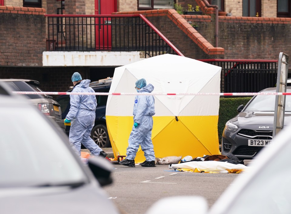 Forensic officers could be seen working next to a white tent