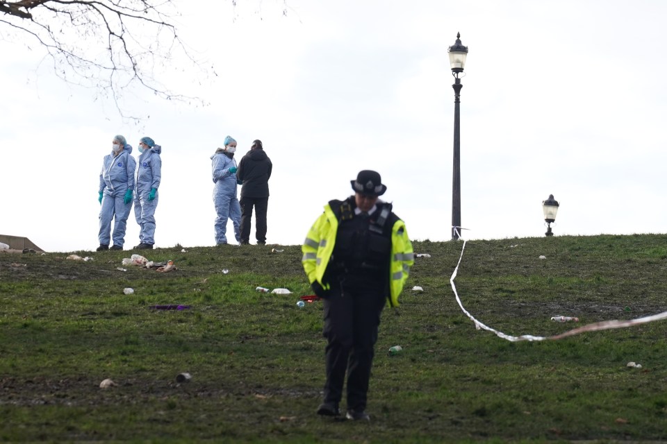 Police officers in forensic suits on Primrose Hill, where Harry Pitman died on New Year’s Eve