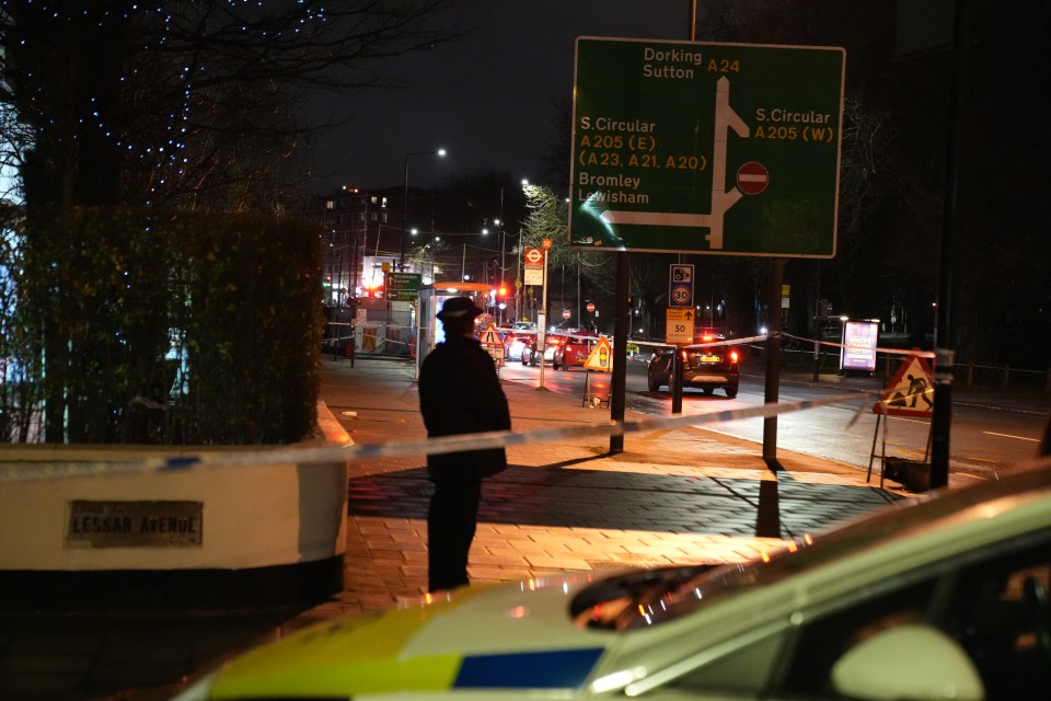 The attack has left the well-to-do south London neighbourhood in shock