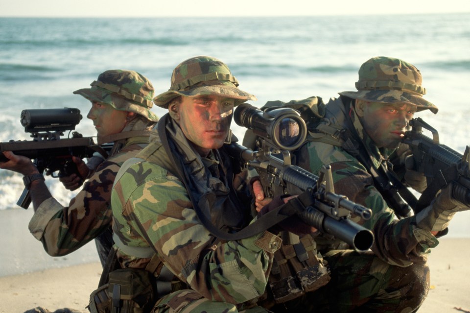 The two Navy SEALs went missing during a raid on January 11 (file photo)