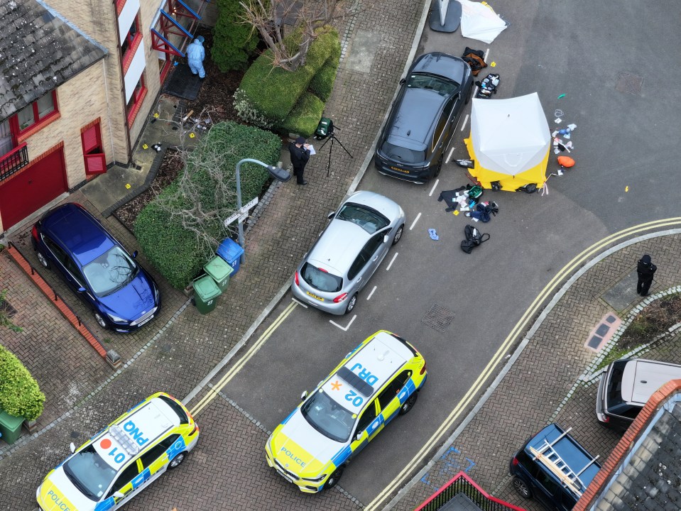 Steve Cornish, 70, who lives nearby, told The Sun residents are 'in shock' following the shooting