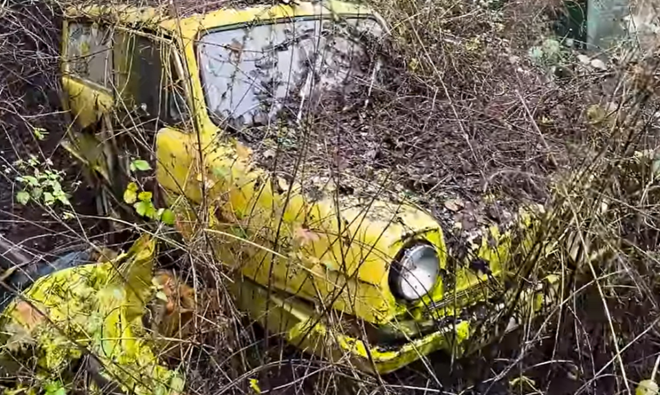 One of the strangest finds inside the yard was a Reliant Supervan