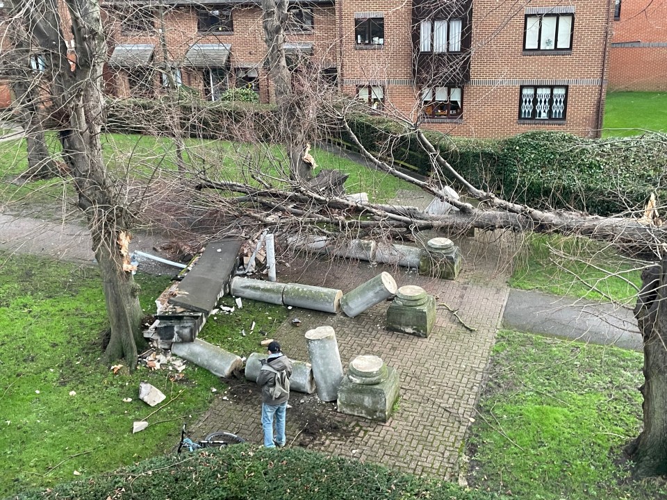 A tree blown over by the wind in Tooting, south west London