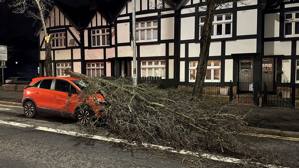 Storm Isha toppled a tree onto this car in Belfast last night