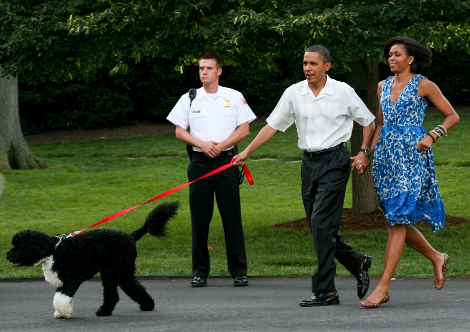 Barack and Michelle Obama's dog Bo was among the famous pets to use Road Refresher