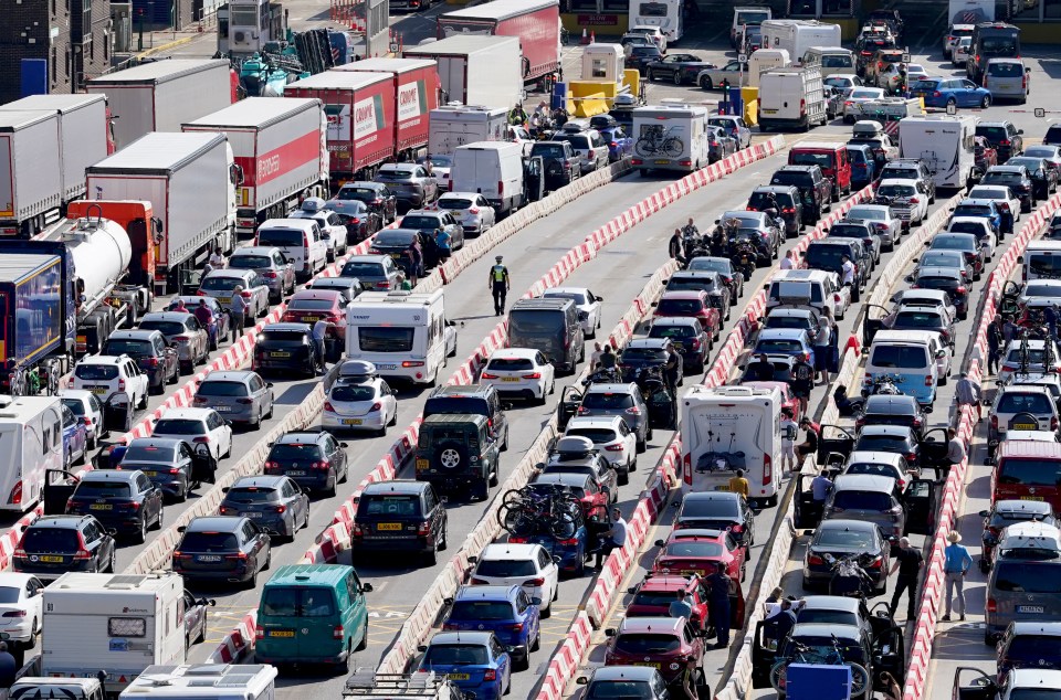 Huge queues at the UK border could plague travellers for the next three years