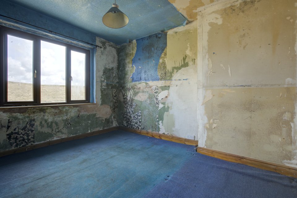 One bedroom has been engulfed by mould