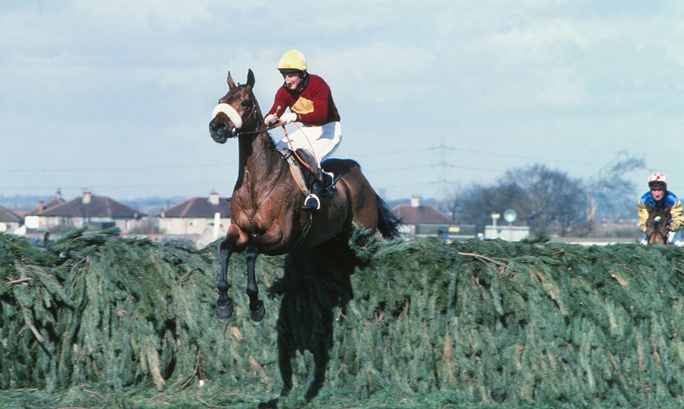 A huge collection of hair from legendary racehorses, including Red Rum, pictured has gone up on sale for £45,000