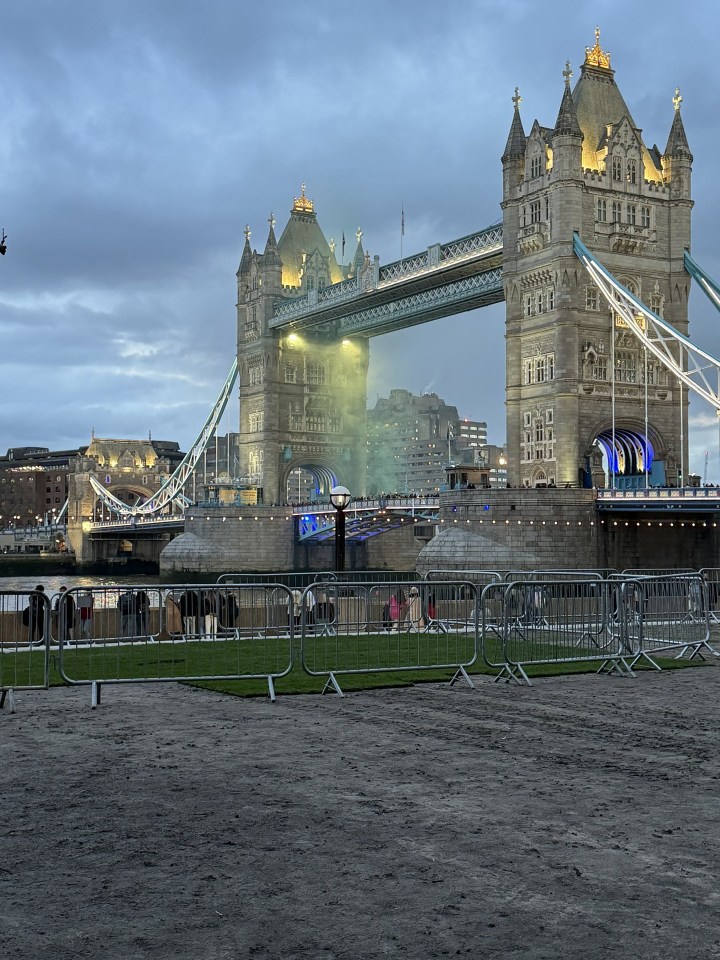 Tower Bridge was closed after protesters set off flares and halted traffic