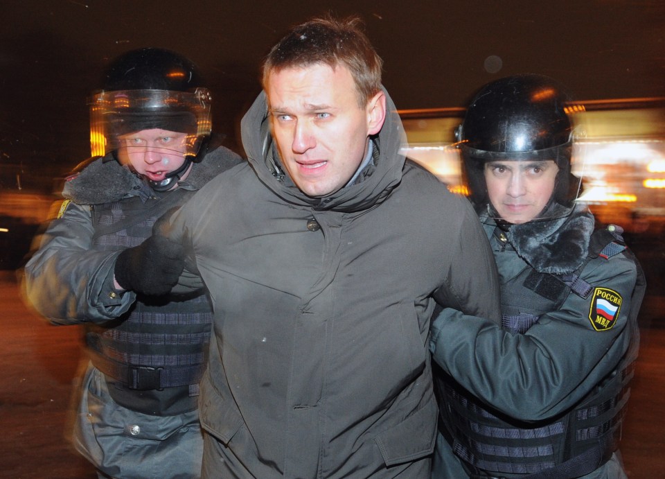 The opposition leader being arrested at a protest in 2012